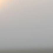 Joachim-Kuhni-Spaziergang-im-Morgennebel