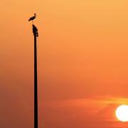 Thomas-Muschalla-Abschied-vom-Sommer