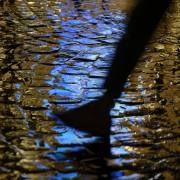 Hans-Werner Bormann: Im Regen