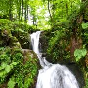 Altersbacher Wasserfall