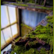 LostPlace-Forbach
