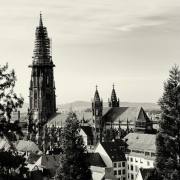 Freiburger Münster