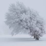 FotoClub_36