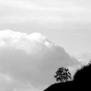 T. Muschalla: black and white  2