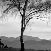T. Muschalla: black and white 10