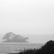 T. Muschalla: black and white 1