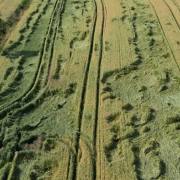 Spuren-im-Feld