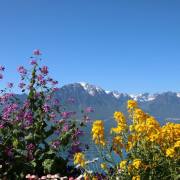 Lac-Leman